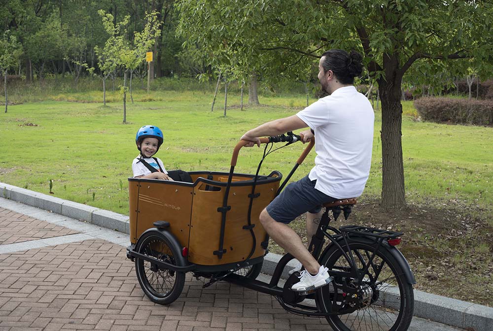 Where Can I Buy the Most Affordable Electric Cargo Bike