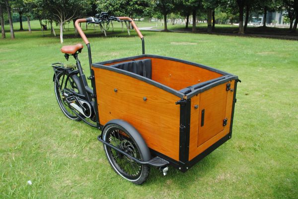 A Review of the Cargo Bike Frame Collapse Crisis