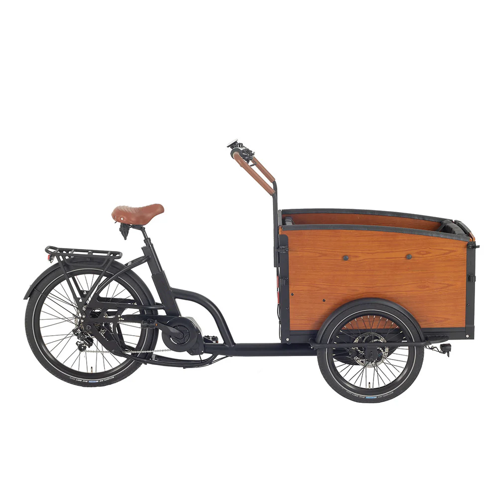 The Importance of EN17860: What You Need to Know as Cargo Bike Factory or Brand