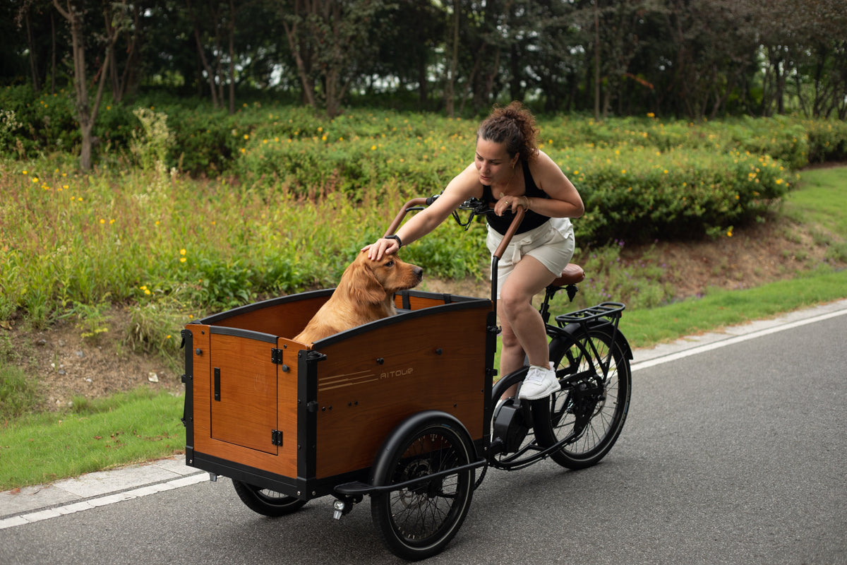 dog carrying in cargo bike of aitour